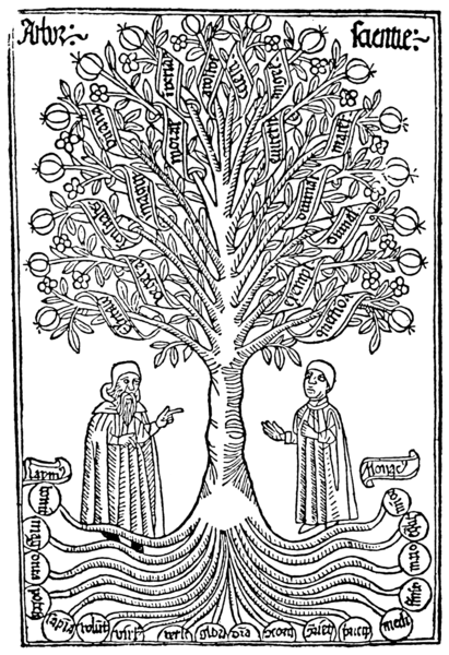 Ramon Llulls Baum des Wissens (1295), veröffentlicht 1482